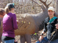 Outdoor Public Shoots